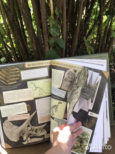 Затерянный мир. Цена — 3'552