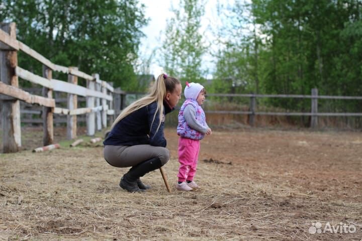 Верховая езда