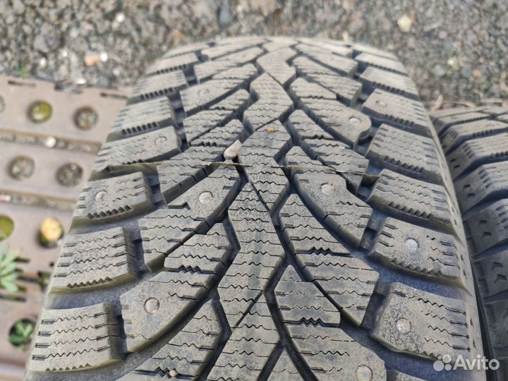 Formula Ice 205/55 R16