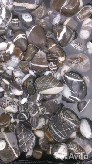 Камни для аквариума террариума от 1кг. декораций