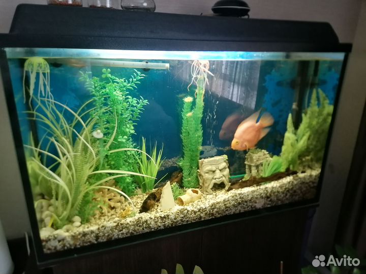 Аквариум с тумбой 180л