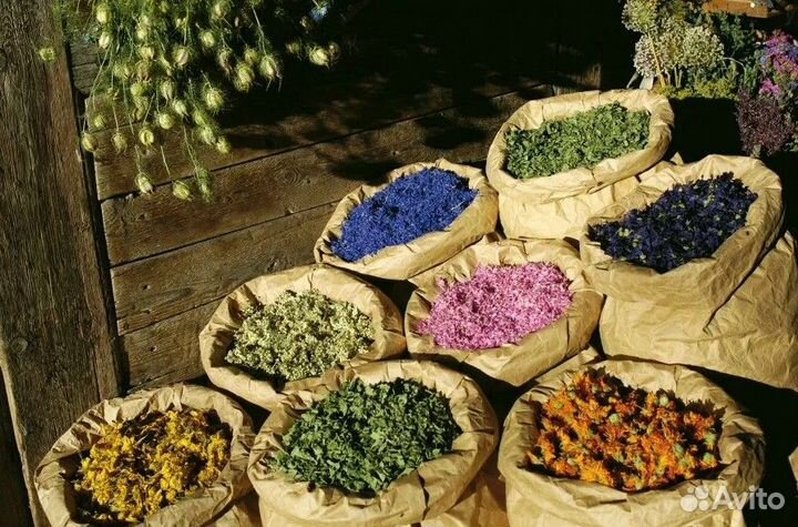 Травяные сборы для здоровья опт