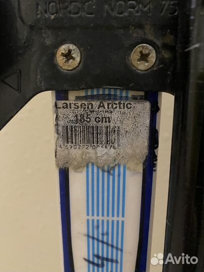 Лыжи беговые с палками