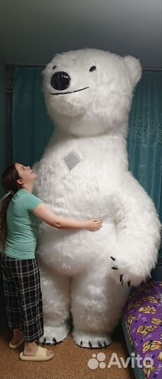 Экспресс поздравление от белого медведя и панды