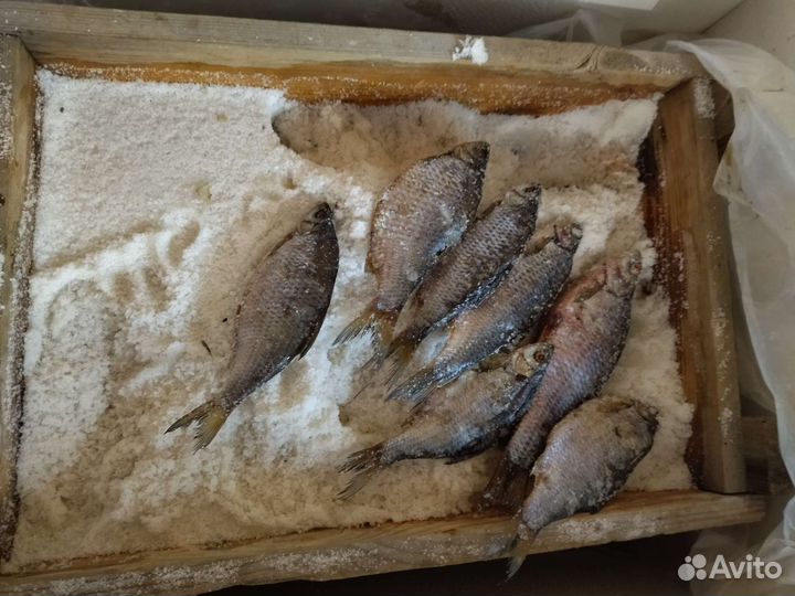 Рыба плотва(сорожка) вяленая