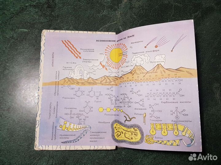 Общая биология 10-11 класс