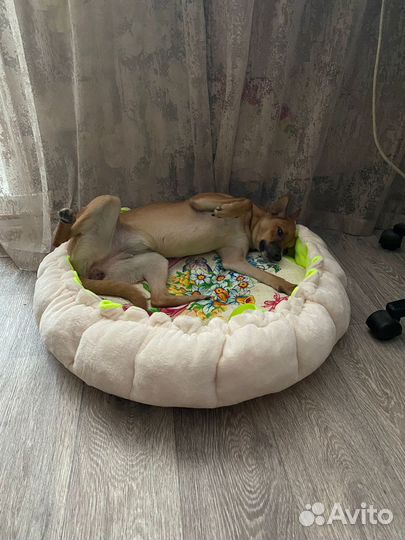 Лежанка матрас