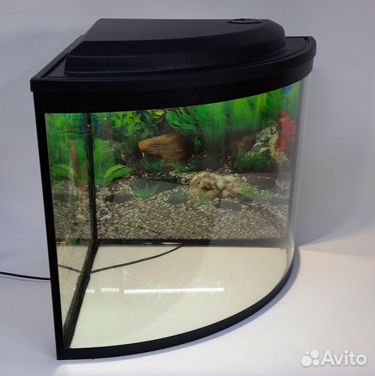 Аквариум угловой 100 литров с фильтром и светом