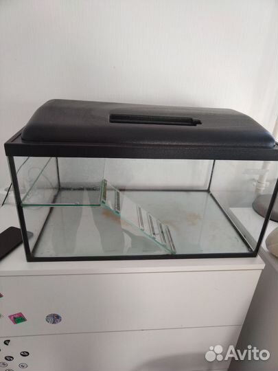 Аквариум для красноухой черепахи