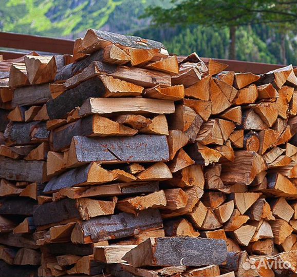 Дрова сухие