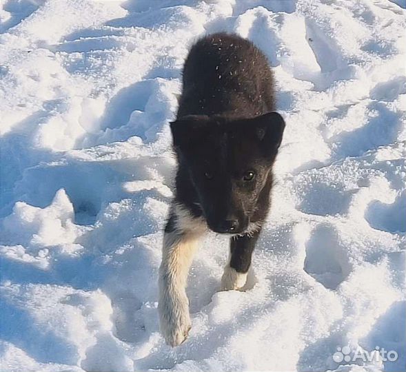 Девчуля в добрые ручки