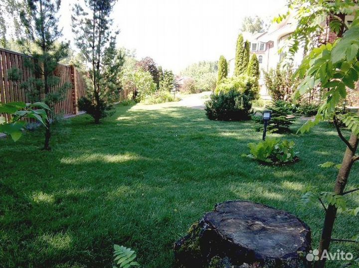 Отличный газон спортивный