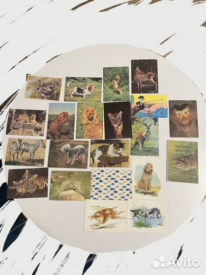 Открытки животные СССР