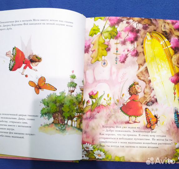 Земляничная фея. Круглый год в солнечном лесу