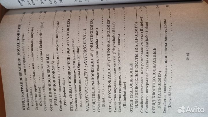 Рыбы и земноводные