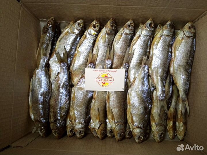 Астраханская вобла