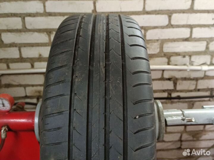Goodyear EfficientGrip 205/55 R16