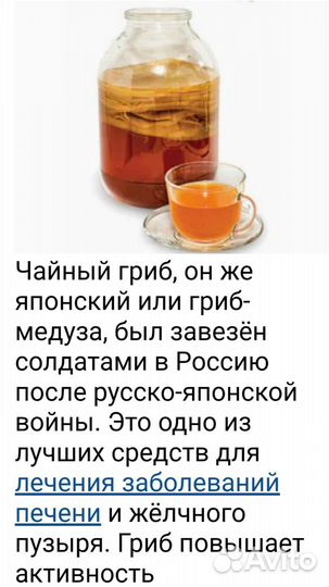 Чайный гриб,в 3-х л.баночке