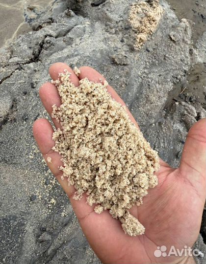Песко соль