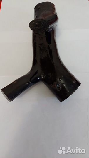 Черный коралл