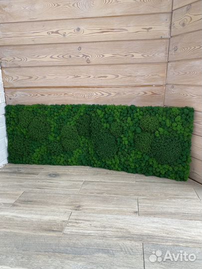 Панели из стабилизированного мха