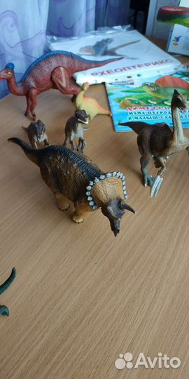 Коллекция динозавров, книги, кости и халат