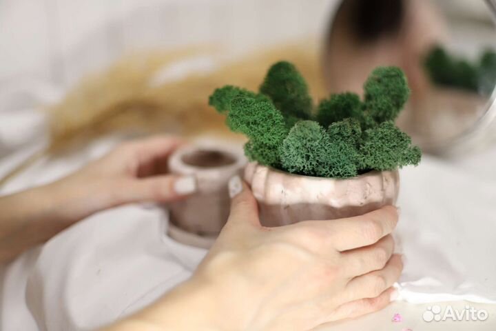 Набор из гипса ручной работы