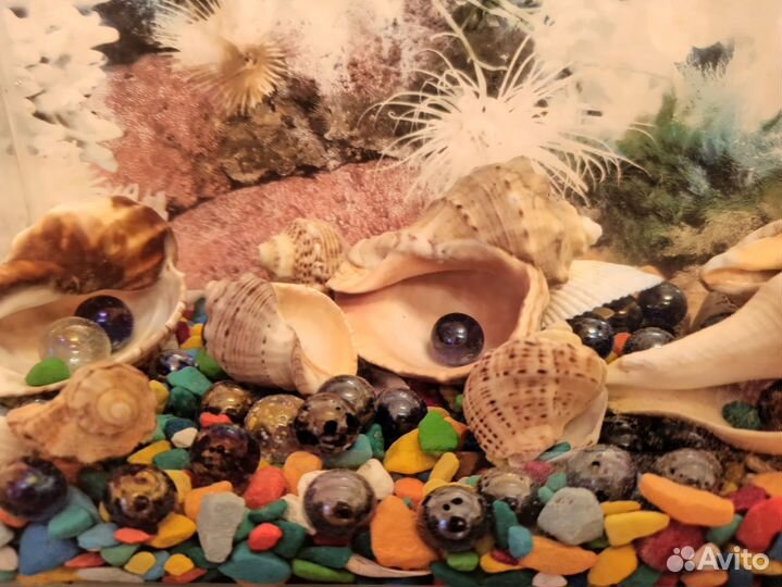 Аквариум 4,3л+галька,шары, ракушки