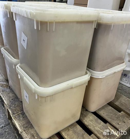 Натуральный майский мед оптом