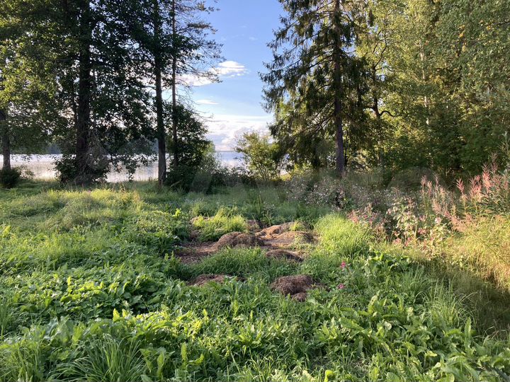 Участок 15 сот. (ИЖС)