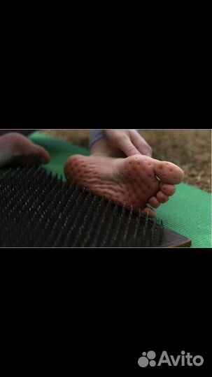 Обучение на проводника гвоздестояния