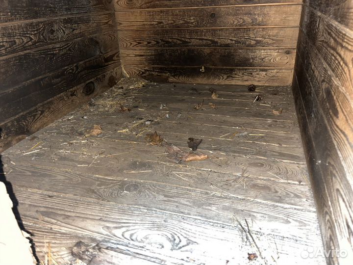 Будка для собаки бесплатно