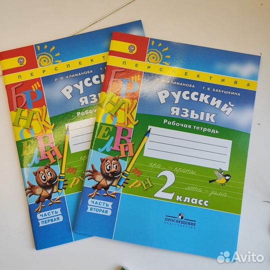 Рабочие тетради перспектива