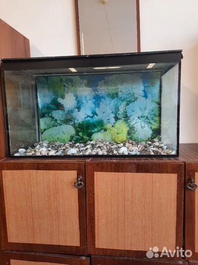 Аквариум
