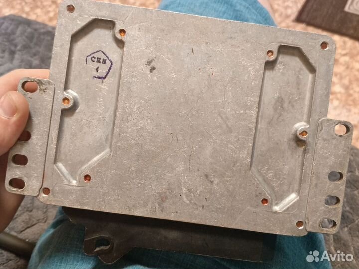 Эбу январь 5.1