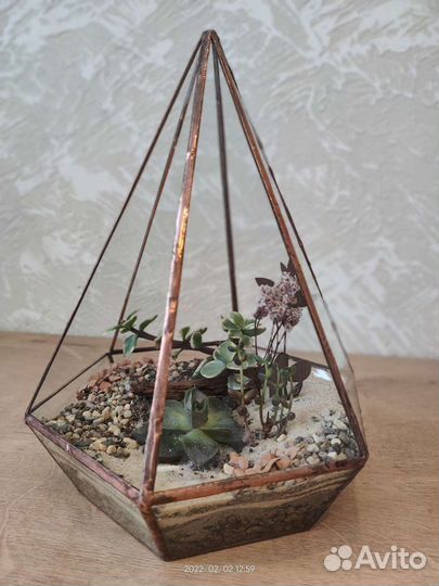 Флорариум, подарок на 14 февраля