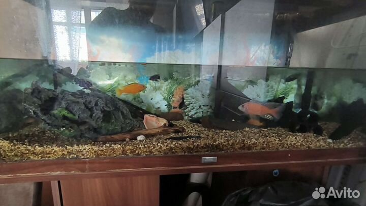 Аквариум с тумбой