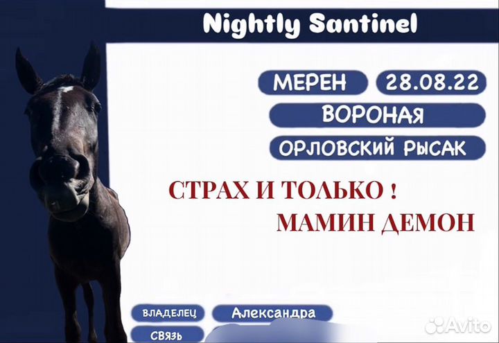 Таблички на денник