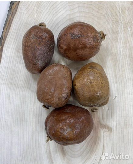 Мохилхин-орех