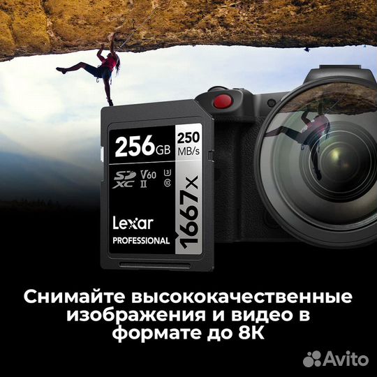 Карта памяти Lexar 256GB UHS-II V60