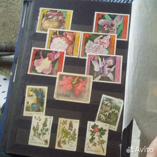Почтовые марки СССР альбом