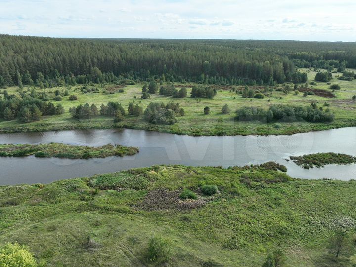 Участок 50,7 сот. (СНТ, ДНП)