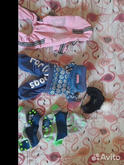 Костюмчики для маленькой собачки