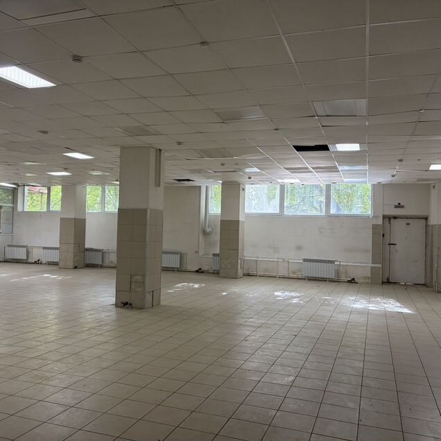 Свободного назначения