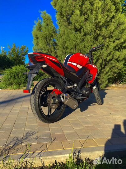 Wels Ghost 250