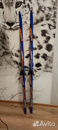 Лыжи и лыжные палки