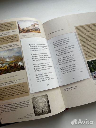 Стихотворения. А. С. Пушкин. Иллюстрированный