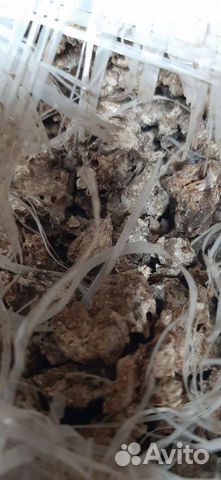 Удобрение Голубиный помет