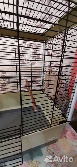 Клетка ferplast, переноска triol