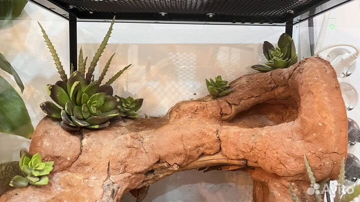 Террариум хабитат